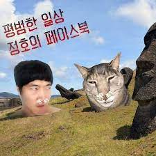 For faster navigation, this iframe is preloading the wikiwand page for 유정호. Facebook