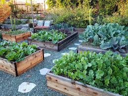 Build a raised pallet garden bed on wheels. Raised Garden Beds Vs In Ground Beds Pros Cons Homestead And Chill