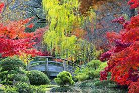 Fort Worth Botanic Garden Japanese Garden Botanical Gardens Garden Design