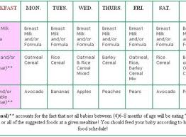 Sample Daily Menu For 6 8 Months Mom Of 4 Boys Baby