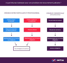 L'injonction de payer n'est pas plafonnée et reste, en principe, plus efficace que la procédure de recouvrement engagée sans titre exécutoire. Recouvrement Judiciaire Quel Tribunal Saisir Intia