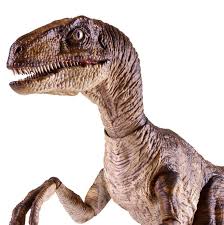 Smith & wesson performance center m&p shield plus with 10 and 13 rd magazine capacity with an improved trigger. Velociraptor Jurassic Park 1 6 Action Figure By Chronicle Collectibles