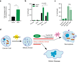 Image result for Docetaxel