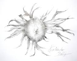 Haselnuss Cordula Kerlikowski