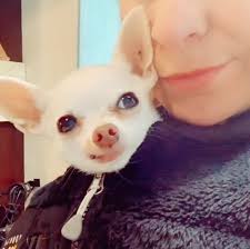 Profile for Gizzie QueenChi