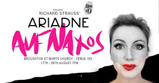 Voice Arc opera company