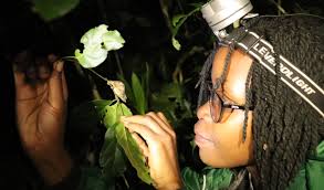 The 2024 CLP Team Awards: Introducing the winners and their projects