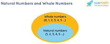 How To Construct A Venn Diagram To Classify Real Numbers | Algebra |  Study.Com