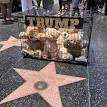 Image result for hollywood walk of shame