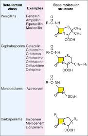Image result for Antimicrobial Agent