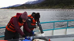 ¡Oro Azul en el Beagle! CONICET y Newsan Revolucionan la Acuicultura - Imagen principal del artículo