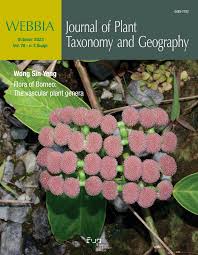 Image result for Emilia pseudactis