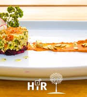 Maybe you would like to learn more about one of these? Couscous Salad With Deep Fried Mayan Tree Spinach With Arugula And Jalapeno Mayo Picture Of Hir Fine Dining Pinilla Tripadvisor