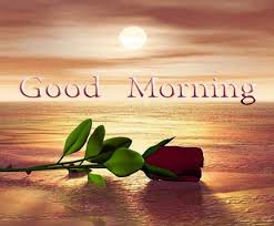 We did not find results for: Romantic Good Morning Love Quotes In Hindi For Girlfriend Boyfriend