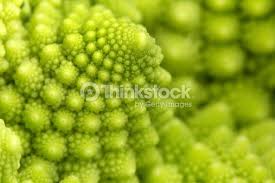 Detail Of Texture Of A Romanesco Broccoli Extreme Close Up Close Up Photography Agriculture Photos