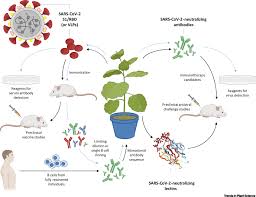 Check spelling or type a new query. Potential Applications Of Plant Biotechnology Against Sars Cov 2 Trends In Plant Science
