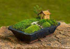 Der holzrahmen für den miniatur zen garten kann. So Konnen Sie Einen Mini Zen Garten Kreieren