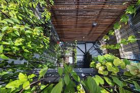 Thi công vườn treo đẹp, bền vững và chuẩn kỹ thuật