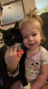 ATTENTION CAT OWNERS!!