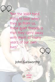 Eternal paw prints has many pet loss poems and sentiments to honor the memory of a beloved dog, cat, horse or any family pet. 14 Beautiful Pet Loss Quotes And Poems