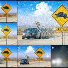 What is visual snow, and does it go away? Pdf Visual Snow Syndrome Proposed Criteria Clinical Implications And Pathophysiology