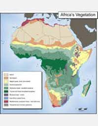 The rivers were used to travel and trade across west africa. Map Showing Vegetation Of Africa Image Eurekalert Science News