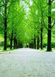 10 pemandangan indah di korea 20 tempat wisata di korea selatan yang menarik dikunjungi 2020 download mengintip pe di 2020 pemandangan korea selatan bunga sakura. Photo Pemandangan Alam Di Korea Selatan Photo Pemandangan Photo Pemandangan Alam Di Korea Selatanhttp Peman Green Nature Quotes Island Wallpaper Green Nature