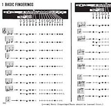 modern guide to fingerings for the flute by james j