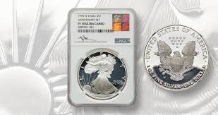 Image result for Silver Grey 1995 AAV