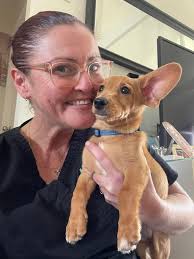 Trusted pet care in Golden Isles