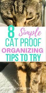 Want To Cat Proof Your Home Get These 8 Extremely Simple Fixes Cat Proofing Kitten Proofing Cat Care
