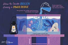 This is a video of me showing you have to get oxygen in your aquarium without a air pump hope you enjoy please leave a like comment and sub :) How To Manually Generate Oxygen In Aquariums