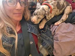 Meet Ezekiel the Great. His name means shooting star! Because of the little  flash down his muzzle. It had more (stardust) flecks when he was a pup and  his big sister was