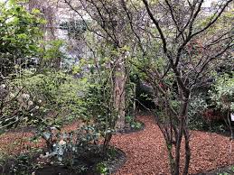 Jardin De Ville Bruxelles