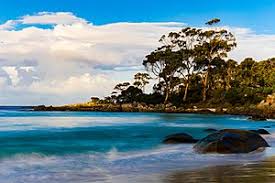 Tasmania's natural beauty is captivating, its cultural experiences are diverse, and its food and drink offering is enviable. Tasmania Wikitravel
