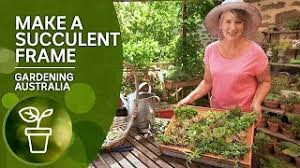 Choose a frame that is not too large or keep in. Make A Vertical Succulent Frame Youtube