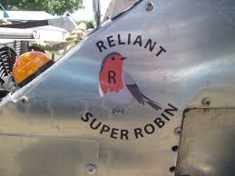 Image result for Deep Green 1994 Reliant