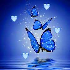 The more of these you can grow in your garden, the better. Drok Griefquotes Grief Quotes Boyfriend Butterfly Wallpaper Butterfly Pictures Whatsapp Dp Images