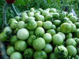 4 Ways To Pickled Green Tomatoes Garden Betty Recipe Pickled Green Tomatoes Green Tomatoes Pickled Green Cherry Tomatoes Recipe