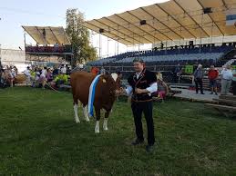 We did not find results for: Vor Dem Brunigschwinget Drei Fragen An 12 Teilnehmende Schwinger Feldwaldwiesenblog