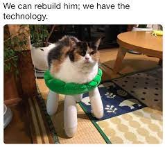 As long as the foundations are still strong, we can rebuild this place. We Can Rebuild Him We Have The Technology Cats Know Your Meme