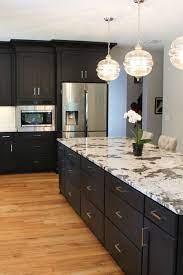 Black Shaker Kitchen With Stacked Crown Molding Online Kitchen Cabinets Black Shaker Kitchen Dark Kitchen Cabinets
