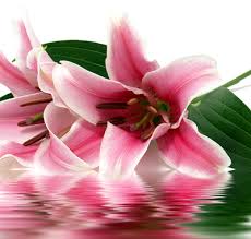 Maybe you would like to learn more about one of these? Petals On Prince Floral Arrangements For All Occasions Florist In Athens Georgia