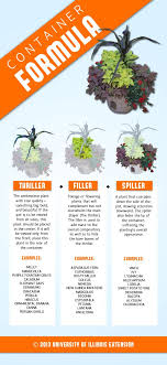 Consider This Basic Formula To Create Successful Container Arrangements Thriller Filler Spiller Plants Container Gardening Flowers Container Gardening