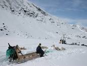 Image result for at the bottom of a glacier in Greenland