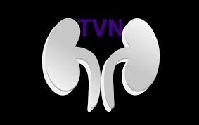 Tvn started broadcasting at 7 p.m. Tvn 1017 Logo Transparent V1 1 World Kidney Day