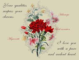 Check spelling or type a new query. Vintage Flowers Tumblr Quotes Google Search Avas Flowers Flower Dictionary Order Flowers Online