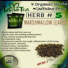 Herb 5 Get Your Iaso Detox Tea At Www Totallifechanges Com Health Solutions Iaso Tea Stomach Detox Herbs