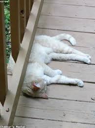 Maybe you would like to learn more about one of these? Egoscue Tower On Sozalifun Anticociliegio It