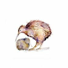 Kiwi Watercolor Kiwi Animal New Zealand Art Kiwi Bird